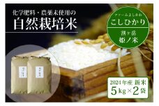 2025年収穫分、予約開始！信濃町産コシヒカリ「割ケ岳 姫乃米 10kg（5kg×2）」令和7年度の新米 ｜ 農薬未使用の自然米 【2024年11月以降発送】長野県信濃町ふるさと納税