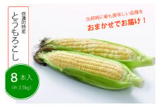 【季節限定】採れたて最旬の『信濃町特産とうもろこし（8本セット）』 　ピーターコーン、サニーショコラ、ゴールドラッシュ、味来、優味などから出荷時に最も美味しい品種を発送【長野県信濃町ふるさと納税】