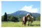 15:00 Check in：黒姫山の麓にある高原牧場で、茶々丸と雪丸の２頭が、皆さんをお出迎えします。