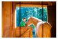 15:30 Horse Care：ブラッシングや手入れ、、餌やりや世話の基本も体験しながら、馬について学びます。
