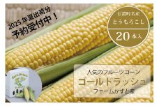 信濃町名産とうもろこし『ファームかずとのゴールドラッシュ 20本セット』【2025年夏出荷分・先行予約受付開始！】生産者直送 令和7年8月〜順次出荷【長野県信濃町ふるさと納税】　