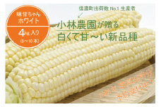 小林農園の白くて甘いとうもろこし『味甘ちゃんホワイト（みかんちゃんほわいと）』4kg入り（8～10本セット）令和7年9月～出荷予定【2025年夏のご予約受付開始！】【長野県信濃町ふるさと納税】