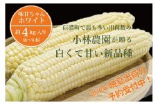 2026年夏の予約受付開始！小林農園の白くて甘いとうもろこし『味甘ちゃんホワイト（みかんちゃんほわいと）』4kg入り（8～9本セット）令和8年9月～出荷予定【長野県信濃町ふるさと納税】