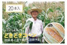 きたむら農園『どきどきコーン』×20本セット（約8～8.5kg相当）2025年夏出荷分 先行予約開始！ 信濃町名産とうもろこし／スイートコーンの新定番品種、申し込み受付中！ 令和7年7月下旬～8月下旬に随時出荷 【長野県信濃町ふるさと納税】
