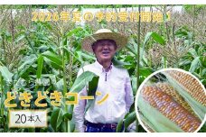 2026年夏の早期予約受付開始！きたむら農園『どきどきコーン』×20本セット（約8～8.5kg相当）生で食べられる信濃町名産とうもろこし／スイートコーンの新定番品種 令和8年7月下旬～8月下旬に出荷予定 【長野県信濃町ふるさと納税】