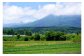 黒姫山のふもと。耕しやすく、水はけの良い火山灰土の土質が、健やかな作物を育てます