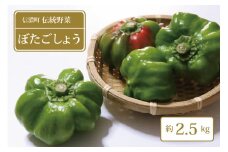 【夏季限定】信濃町名産、信州の伝統野菜「ぼたごしょう 2.5kg」☆8月下旬～10月上旬出荷予定【長野県信濃町ふるさと納税】