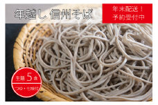 【年末配送】製麺所直送！ 池田商店「年越し生そばセット（生麺５食分）」年末限定製造｜つゆ・薬味付き【長野県信濃町ふるさと納税】