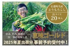 信濃町名産とうもろこし『落影農場の恵味（めぐみ） 20本セット』／スイートコーンの人気品種を早期予約限定で受付中！ 【2025年夏のご予約受付開始！】 令和7年7月下旬〜出荷予定 2025年夏出荷分 先行予約【長野県信濃町ふるさと納税】