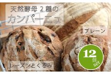 黒姫高原『パン小舎（pangoya）のカンパーニュ＆レーズンとくるみのパン  12点詰め合わせ』自家製天然酵母パン｜長野県産ゆめかおり使用【長野県信濃町ふるさと納税】　