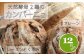 長野県産のゆめかおりを使用したカンパーニュです。