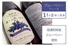 【長野県信濃町ふるさと納税】ぶんぶく亭「Stoneブルーベリージュース」1L×4本  信濃町産のブルーベリーを贅沢に使った濃厚なジュースです