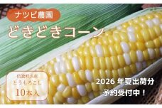 2026年夏の早期予約受付開始！ナツビ農園『どきどきコーン』10本セット（約4.5kg相当）生でも食べられる信濃町名産とうもろこし／白と黄色のバイカラー品種 令和8年7月下旬～8月下旬に随時出荷【長野県信濃町ふるさと納税】