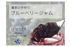 しなのブルーベリー農園「ブルーベリージャム」 150g×3個セット　粒が大きく味の濃いハイブッシュ系にこだわったブルーベリーのジャム【長野県信濃町】