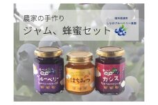しなのブルーベリー農園「信濃町産ジャム詰め合わせ」 ブルーベリージャム150g、カシスジャム150g、ブルーベリーの花の非加熱はちみつ160gの3個セット【長野県信濃町】