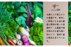 【長野県 信濃町 みつぶ農園/夫婦で営む小規模農園】季節の旬野菜1箱（8~10品） ≪収穫後は過度な水洗いを控え、できる限り野菜に与える負担を最小限に採れたての状態を保ち、最高の鮮度でお届けします！≫ 動物性たい肥・自家製ボカシ肥・地域に棲みついている多種多様な土着菌を用い、生き物(微生物)たちからの恩恵を最大限活かした自然循環の中で、滋味に富む野菜を育てています。【長野県 信濃町 ふるさと納税】