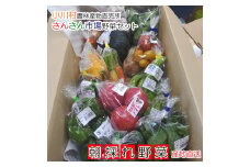408＊さんさん市場　やさい名人がチョイスする新鮮季節の野菜2回セット
