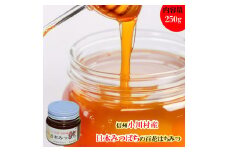 254＊日本みつばち　百花はちみつ250ｇ