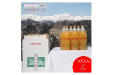 258＊サンふじりんご100%ジュース1L 6本