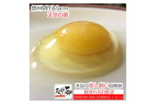 382＊信州MIYAFARM　「天空の卵」新鮮野菜を食べて育った放し飼い自然卵　6ヶ月定期便