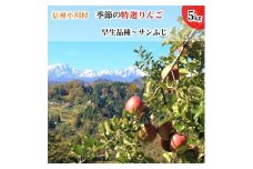 311＊信州小川村成就地区限定季節の特選りんご５キロ（早生品種りんご～サンふじりんご）