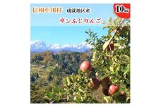 411＊信州成就地区限定　サンふじりんご限定10キロ