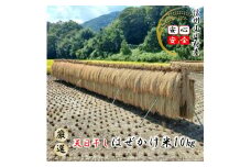 401＊小川村自慢のはぜかけ米10キロ