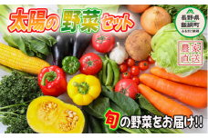 野菜 太陽の野菜セット 【 季節ごと旬の野菜 】 配送先は本州限定 クール便 2025年7月上旬頃から2025年11月上旬頃まで順次発送予定 ビオ農産物 太陽の恵み ( 化学肥料 除草剤 不使用 ) 長野県 飯綱町 [0009]