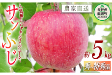 りんご サンふじ 秀 ～ 特秀 約 5kg 樋口果樹園 沖縄県への配送不可 2023年12月上旬頃から2023年12月中旬頃まで順次発送予定 令和5年度収穫分 信州 果物 フルーツ リンゴ 林檎 長野 16000円 予約 農家直送 長野県 飯綱町 [0010]