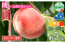 【 2025年 先行予約 】 桃 5kg 秀品 訳あり 《 品種おまかせ「 白鳳 」「 あかつき 」「 なつっこ 」いずれか1品種 》 光センサー選別品 【 予約 果物 くだもの もも フルーツ 長野 信州 クール便 22500円 】 沖縄県への配送不可 2025年8月上旬頃から2025年8月下旬頃まで順次発送予定 日時指定不可 令和7年度出荷分 長野県 飯綱町 [0055]