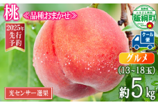 【 2025年 先行予約 】 桃 5kg グルメ  《 品種おまかせ「 白鳳 」「 あかつき 」「 なつっこ 」いずれか1品種 》 光センサー選別品 【 予約 果物 くだもの もも フルーツ 長野 信州 クール便 33500円 】 沖縄県への配送不可 2025年8月上旬頃から2025年8月下旬頃まで順次発送予定 日時指定不可 令和7年度出荷分 長野県 飯綱町 [0057]