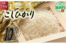 【 特A一等米 / コシヒカリ 】 精米 こしひかり 10kg ( 令和7年産 ) ふるさと振興個社 2025年11月上旬頃から順次発送予定 コシヒカリ 白米 精米 お米 信州 予約 農家直送 長野県 飯綱町 [0155]