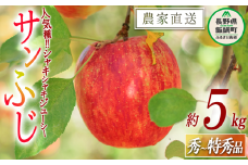りんご サンふじ 秀 ～ 特秀 5kg 渡辺農園 沖縄県への配送不可 2025年12月上旬頃から2026年1月中旬頃まで順次発送予定 令和7年度収穫分 エコファーマー認定 減農薬栽培 長野県 飯綱町 [0169]