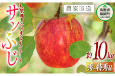 りんご サンふじ 秀 ～ 特秀 10kg 渡辺農園 2025年12月上旬頃から2026年1月中旬頃まで順次発送予定 令和7年度収穫分 エコファーマー認定 減農薬栽培 長野県 飯綱町 [0170]