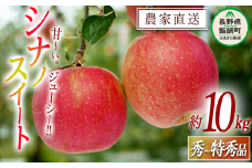 りんご シナノスイート 秀 ～ 特秀 10kg 渡辺農園 2025年10月中旬頃から2025年11月上旬頃まで順次発送予定 令和7年度収穫分 エコファーマー認定 減農薬栽培 長野県 飯綱町 [0172]