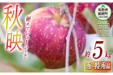 りんご 秋映  秀～特秀 5kg 丸茂ファーム 沖縄県への配送不可 2024年10月上旬頃から2024年10月下旬頃まで順次発送予定 エコファーマー認定 信州の環境にやさしい農産物認証 令和6年度収穫分 フルーツ リンゴ 林檎 農家直送 予約 15500円 長野県 飯綱町 [0249]