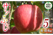 りんご サンふじ 秀 ～ 特秀 5kg 丸山りんご園 沖縄県への配送不可 2025年12月上旬頃から2025年12月下旬頃まで順次発送予定 令和7年度収穫分 信州 果物 フルーツ リンゴ 林檎 長野 16000円 予約 農家直送 長野県 飯綱町 [0264]