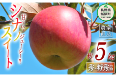 りんご シナノスイート 秀 ～ 特秀 5kg 丸山りんご園 沖縄県への配送不可 2025年10月上旬頃から2025年11月上旬頃まで順次発送予定 令和7年度収穫分 信州 果物 フルーツ リンゴ 林檎 長野 14500円 予約 農家直送 長野県 飯綱町 [0265]