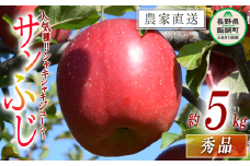 りんご サンふじ 秀 5kg 原山農園 沖縄県への配送不可 2024年12月中旬頃から2025年1月中旬頃まで順次発送予定 令和6年度収穫分 信州 果物 フルーツ リンゴ 林檎 長野 16000円 予約 農家直送 長野県 飯綱町 [0269]
