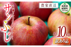 りんご サンふじ 訳あり 10kg 原山農園 沖縄県への配送不可 2025年12月中旬頃から2026年2月上旬頃まで順次発送予定 令和7年度収穫分 傷 不揃い リンゴ 林檎 果物 フルーツ 信州 長野 予約 農家直送 長野県 飯綱町 [0270]