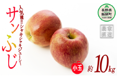 りんご サンふじ 小玉 10kg 丸茂ファーム 2025年1月下旬頃から2025年4月上旬頃まで順次発送予定 エコファーマー認定 信州の環境にやさしい農産物認証 令和6年度収穫分 フルーツ リンゴ 林檎 農家直送 予約 25500円 長野県 飯綱町 [0284]