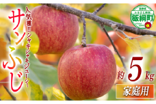 【 りんごの王様 / サンふじ 】 りんご サンふじ 家庭用 5kg 2025年12月上旬頃から2026年2月下旬頃まで順次発送予定 ふるさと振興公社 リンゴ 林檎 長野県 飯綱町 [0288]