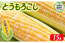 とうもろこし 15本 厳選品種 （品種おまかせ） 配送先は本州限定 ふるさと振興公社 2024年8月下旬頃から2024年9月上旬頃まで順次発送予定 信州 トウモロコシ コーン 長野県 飯綱町 [0293]
