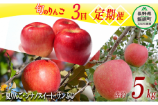 旬のりんご 訳あり 3種 《 定期便 》 5kg × 3回 Cコース 沖縄県への配送不可 2025年9月上旬頃から2025年12月中旬頃まで順次発送予定 ふるさと振興公社 長野県 飯綱町 [0299]