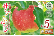 りんご サンふじ 秀 ～ 特秀 5kg 永正の地蔵尊神谷農園 沖縄県への配送不可 2025年12月上旬頃から2026年2月上旬頃まで順次発送予定 令和7年度収穫分 信州 果物 フルーツ リンゴ 林檎 長野 16000円 予約 農家直送 長野県 飯綱町 [0311]