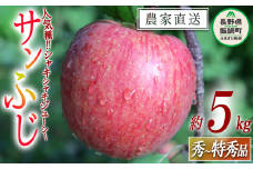 りんご サンふじ 秀 ～ 特秀 5kg 寺島農園 沖縄県への配送不可 2025年11月下旬頃から2026年2月上旬頃まで順次発送予定 令和7年度収穫分 信州 果物 フルーツ リンゴ 林檎 長野 予約 農家直送 長野県 飯綱町 [0313]