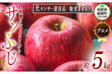 りんご サンふじ グルメ ( 贈答用 ) 5kg 最高級 糖度17度以上 光センサー選別品 ながの農業協同組合 2025年12月上旬頃から2025年12月下旬頃まで順次発送予定 令和7年度収穫分 信州 果物 フルーツ リンゴ 林檎 高級 特選 特秀 糖度保証 数量限定 長野 25000円 予約 長野県 飯綱町 [0337]