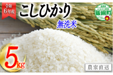 [0335]【令和6年度収穫分】無洗米こしひかり5kg　沖縄県への配送不可 ※2024年10月上旬頃から順次発送予定　永野農園　長野県飯綱町