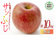りんご サンふじ 秀 10kg 光センサー選別品 ながの農業協同組合 2025年12月上旬頃から2025年12月下旬頃まで順次発送予定 令和7年度収穫分 信州 果物 フルーツ リンゴ 林檎 長野 24000円 予約 長野県 飯綱町 [0338]