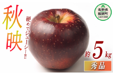 りんご 秋映 秀 5kg 光センサー選別品 ながの農業協同組合 沖縄県への配送不可 2025年10月上旬頃から2025年10月下旬頃まで順次発送予定 令和7年度収穫分 信州 果物 フルーツ リンゴ 林檎 長野 14500円 予約 長野県 飯綱町 [0342]